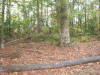Jakt i kroatien 20081011 038.jpg (263591 byte)