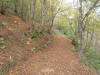 Jakt i kroatien 20081011 051.jpg (275270 byte)