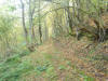 Jakt i kroatien 20081011 052.jpg (266732 byte)